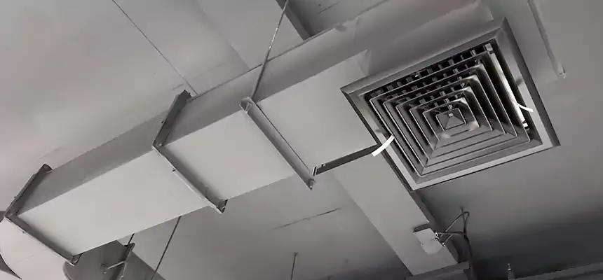 Restorative Allergy Relief Vent Cleaning – Coil, Blower & Housing Detail in Milledgeville