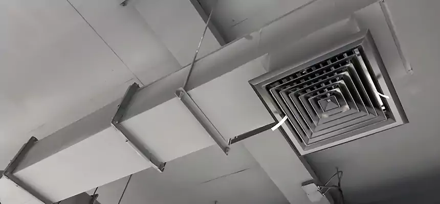 Our Rodent Droppings In Vents Services in Milledgeville, GA