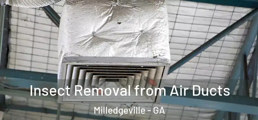  Insect Removal from Air Ducts Milledgeville - GA