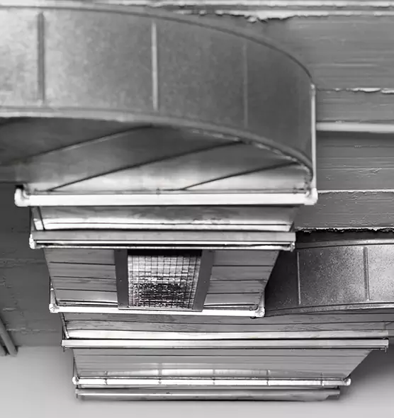 Professional Air Duct Pet Hair Removal in Milledgeville, GA