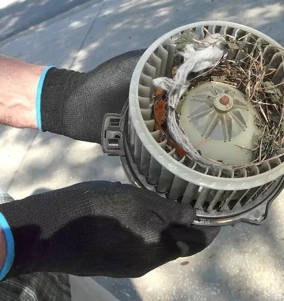 About Air Duct Rat Removal in Milledgeville, GA