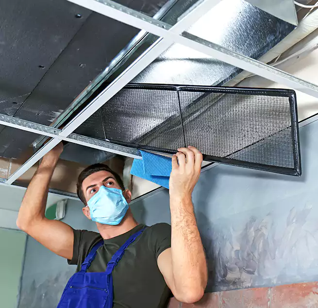 Why Homeowners Businesses Trust Us in Milledgeville, GA