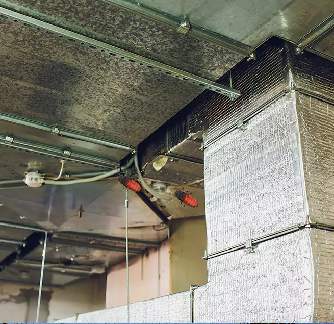 Why Homeowners & Businesses Trust Us Milledgeville, GA?