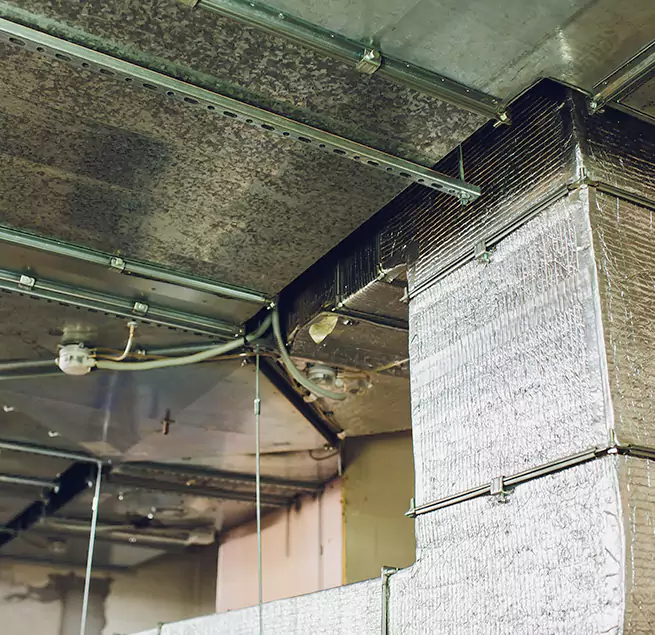 Why Homeowners & Businesses Trust Us in Milledgeville, GA?